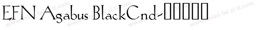 EFN Agabus BlackCnd字体转换
